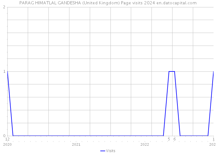 PARAG HIMATLAL GANDESHA (United Kingdom) Page visits 2024 