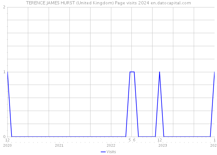 TERENCE JAMES HURST (United Kingdom) Page visits 2024 