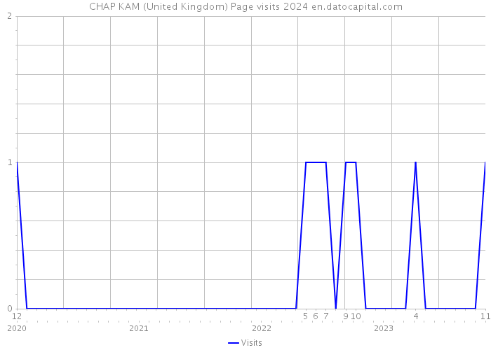 CHAP KAM (United Kingdom) Page visits 2024 