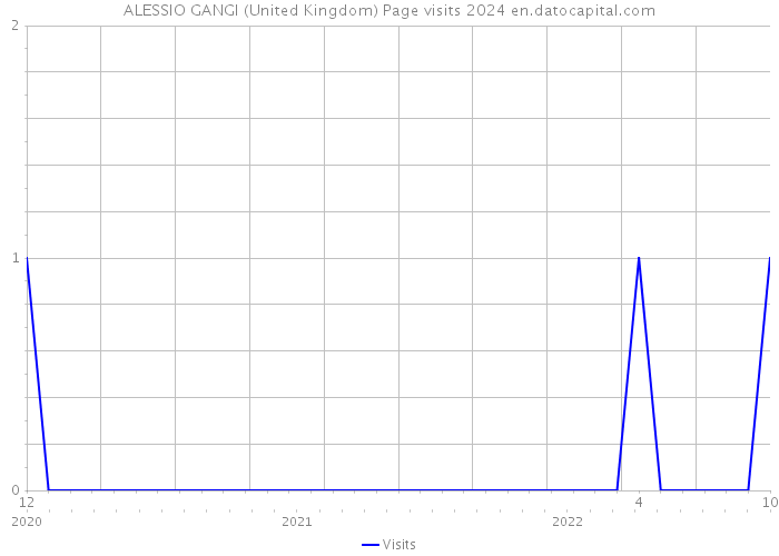 ALESSIO GANGI (United Kingdom) Page visits 2024 