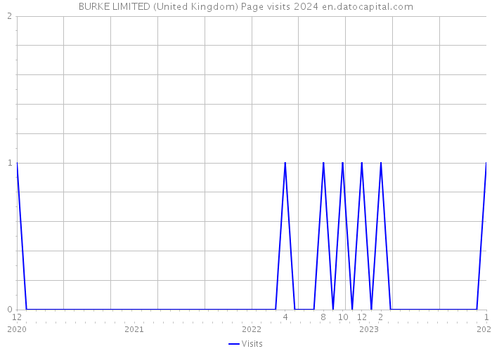 BURKE LIMITED (United Kingdom) Page visits 2024 