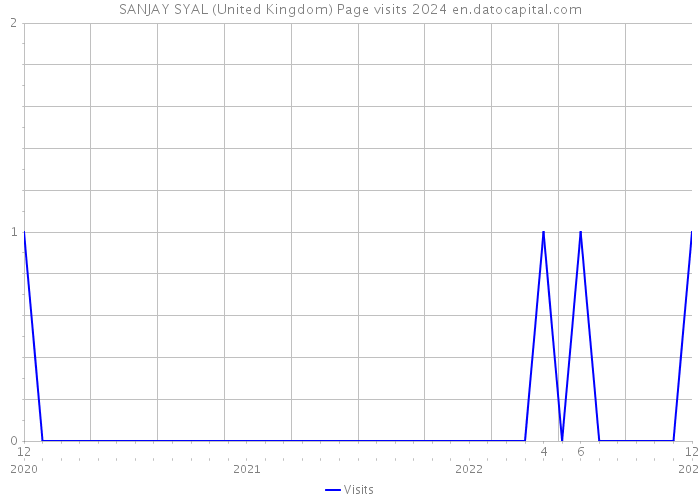 SANJAY SYAL (United Kingdom) Page visits 2024 