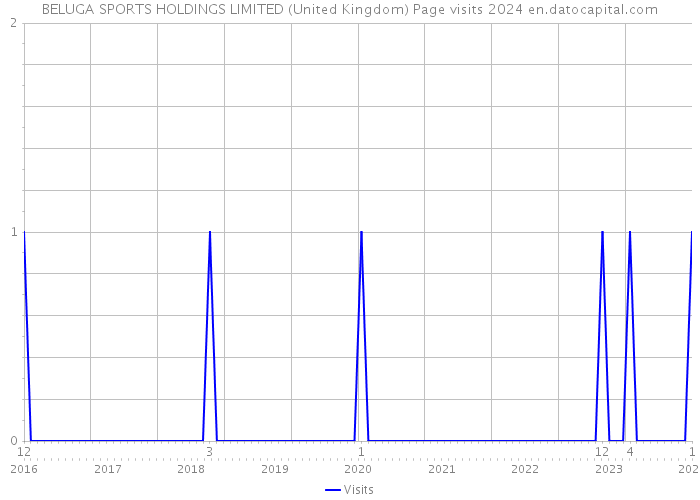 BELUGA SPORTS HOLDINGS LIMITED (United Kingdom) Page visits 2024 