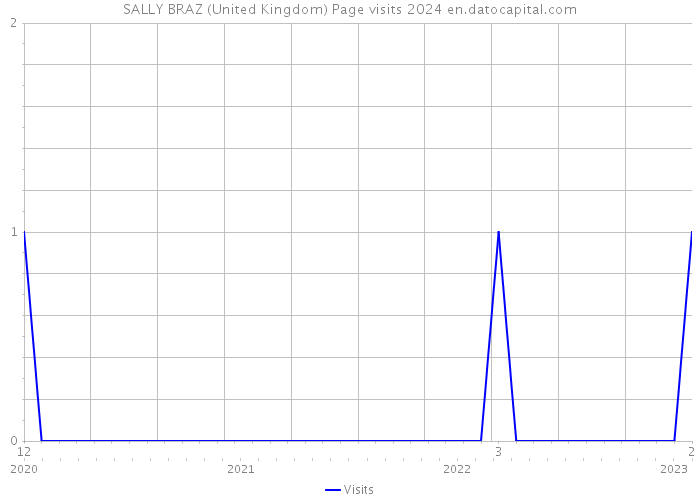 SALLY BRAZ (United Kingdom) Page visits 2024 