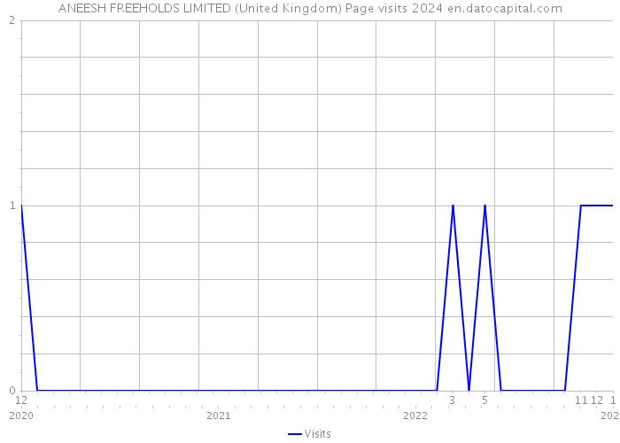 ANEESH FREEHOLDS LIMITED (United Kingdom) Page visits 2024 