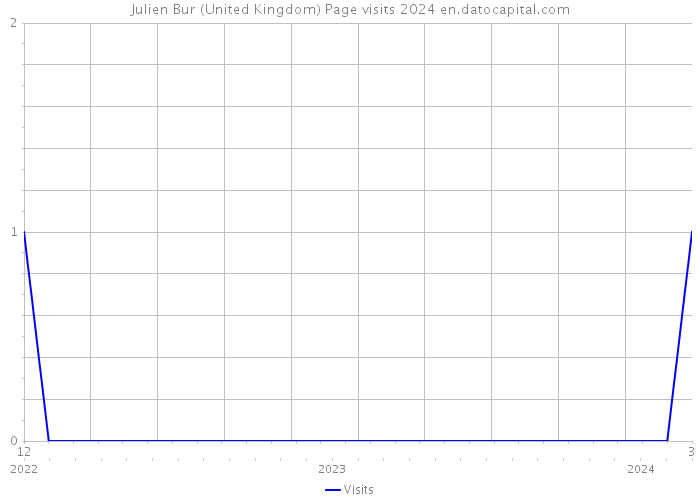 Julien Bur (United Kingdom) Page visits 2024 