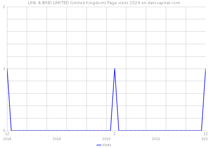 LINK & BIND LIMITED (United Kingdom) Page visits 2024 