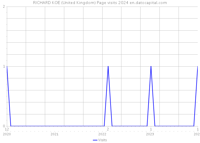 RICHARD KOE (United Kingdom) Page visits 2024 