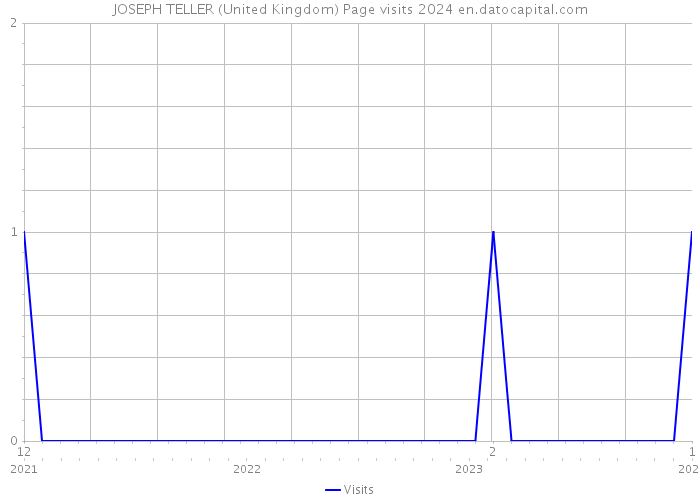 JOSEPH TELLER (United Kingdom) Page visits 2024 