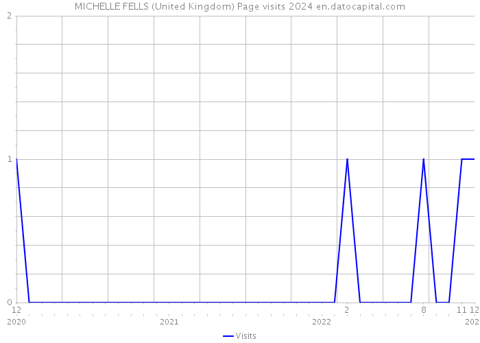 MICHELLE FELLS (United Kingdom) Page visits 2024 