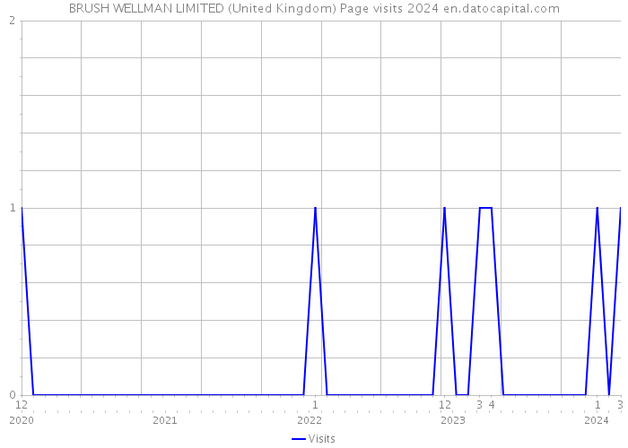 BRUSH WELLMAN LIMITED (United Kingdom) Page visits 2024 