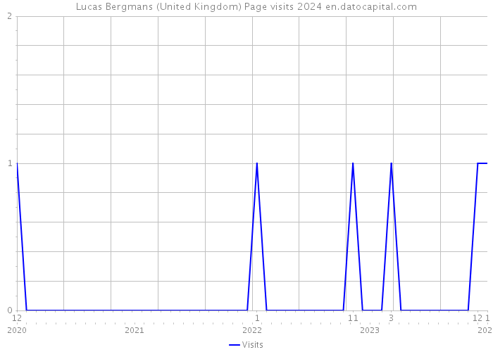 Lucas Bergmans (United Kingdom) Page visits 2024 