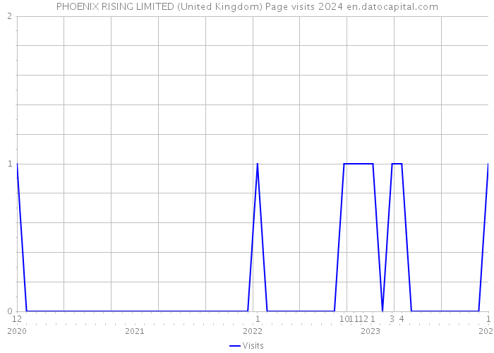 PHOENIX RISING LIMITED (United Kingdom) Page visits 2024 