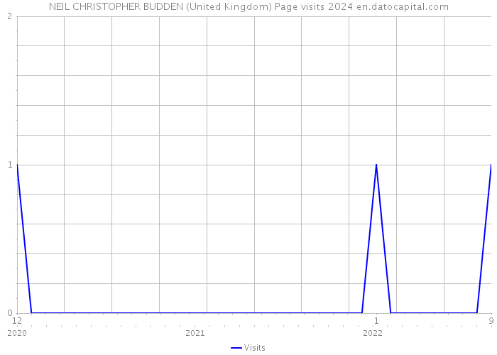 NEIL CHRISTOPHER BUDDEN (United Kingdom) Page visits 2024 