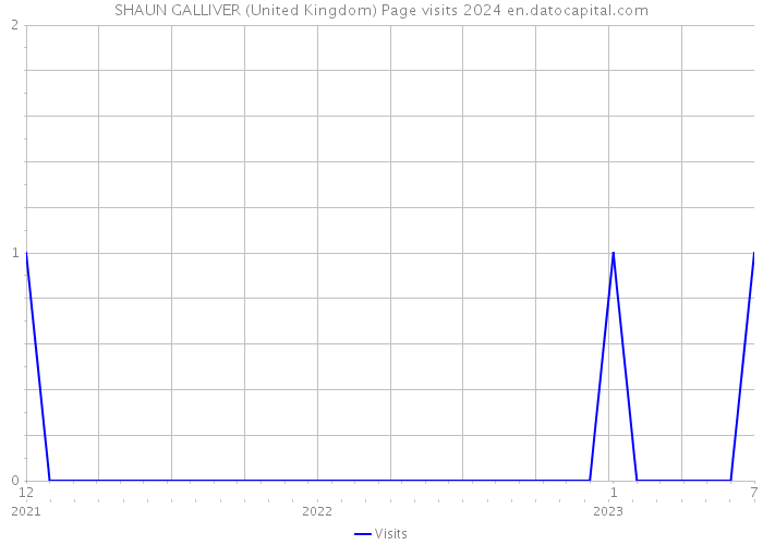 SHAUN GALLIVER (United Kingdom) Page visits 2024 