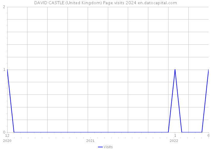 DAVID CASTLE (United Kingdom) Page visits 2024 
