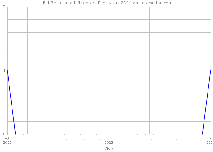 JIRI KRAL (United Kingdom) Page visits 2024 