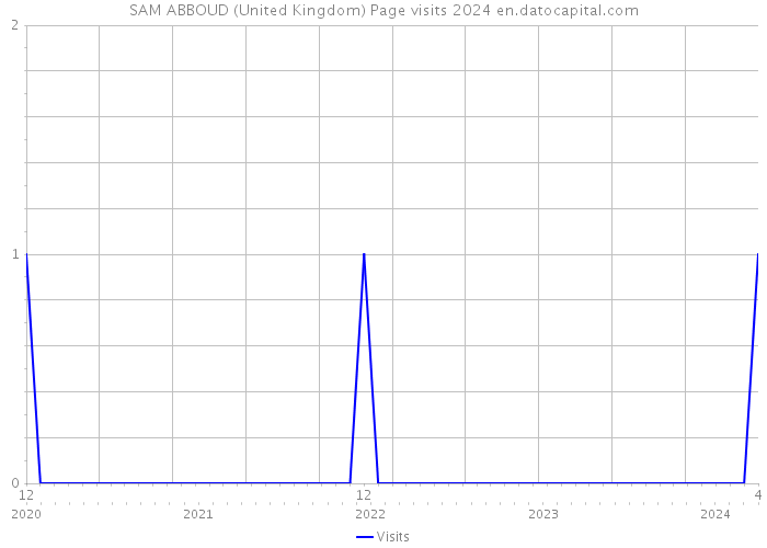 SAM ABBOUD (United Kingdom) Page visits 2024 