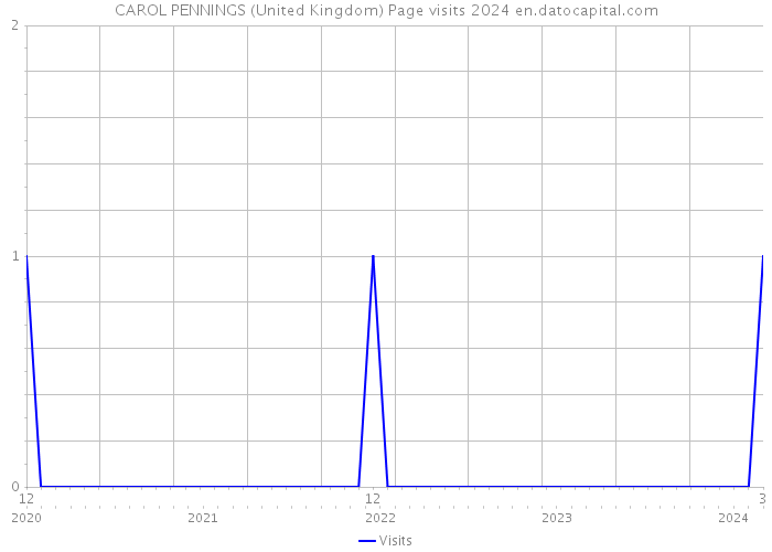 CAROL PENNINGS (United Kingdom) Page visits 2024 