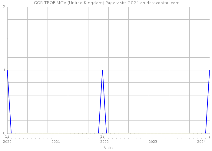 IGOR TROFIMOV (United Kingdom) Page visits 2024 