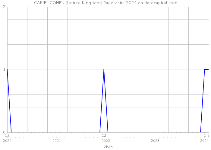CARIEL COHEN (United Kingdom) Page visits 2024 