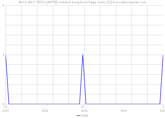 BACK BAY TECH LIMITED (United Kingdom) Page visits 2024 