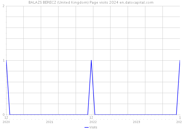 BALAZS BERECZ (United Kingdom) Page visits 2024 