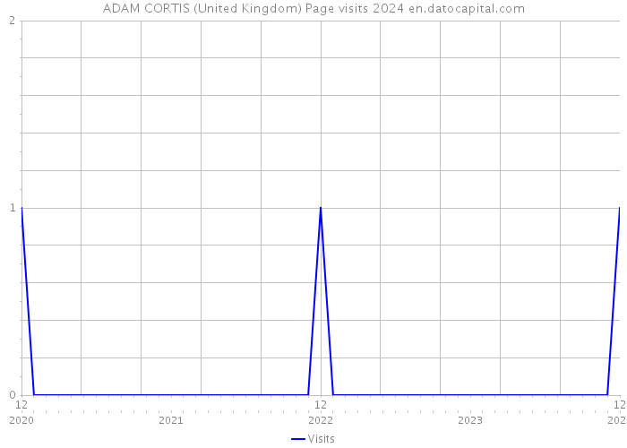 ADAM CORTIS (United Kingdom) Page visits 2024 