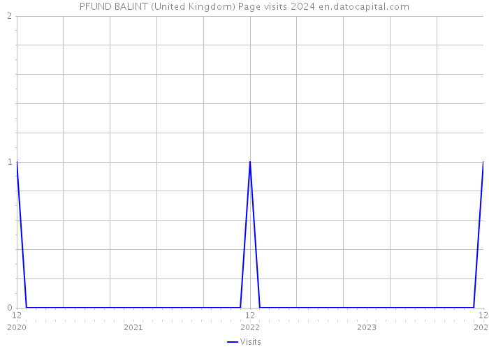PFUND BALINT (United Kingdom) Page visits 2024 