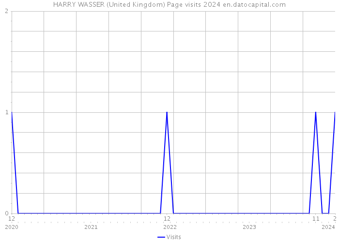 HARRY WASSER (United Kingdom) Page visits 2024 