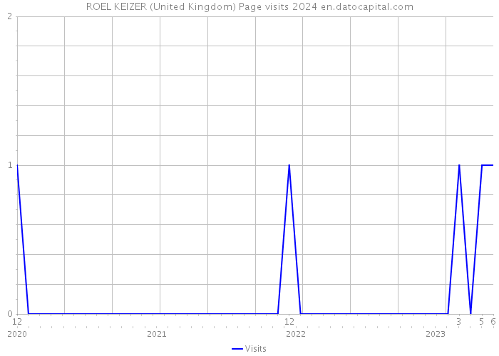 ROEL KEIZER (United Kingdom) Page visits 2024 
