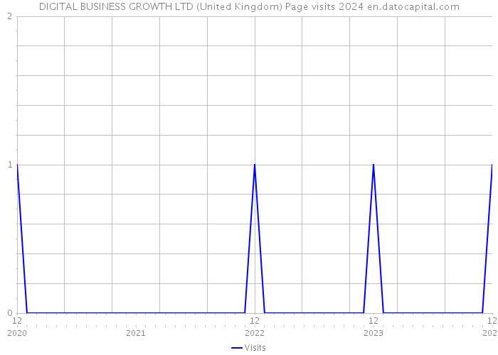 DIGITAL BUSINESS GROWTH LTD (United Kingdom) Page visits 2024 