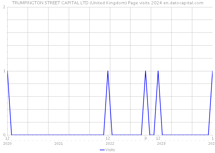 TRUMPINGTON STREET CAPITAL LTD (United Kingdom) Page visits 2024 