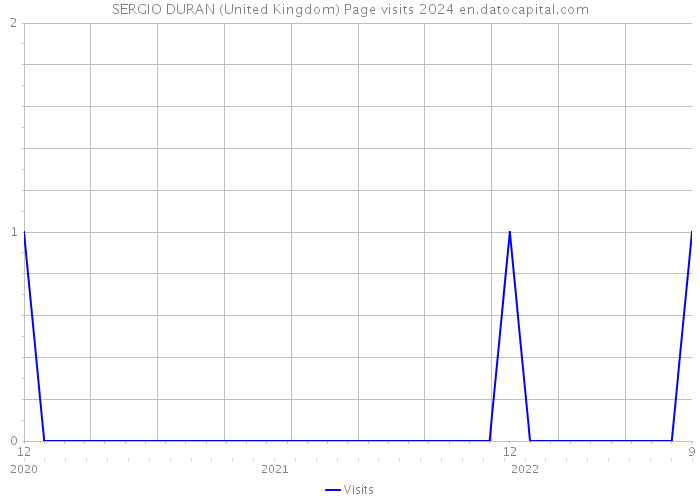 SERGIO DURAN (United Kingdom) Page visits 2024 