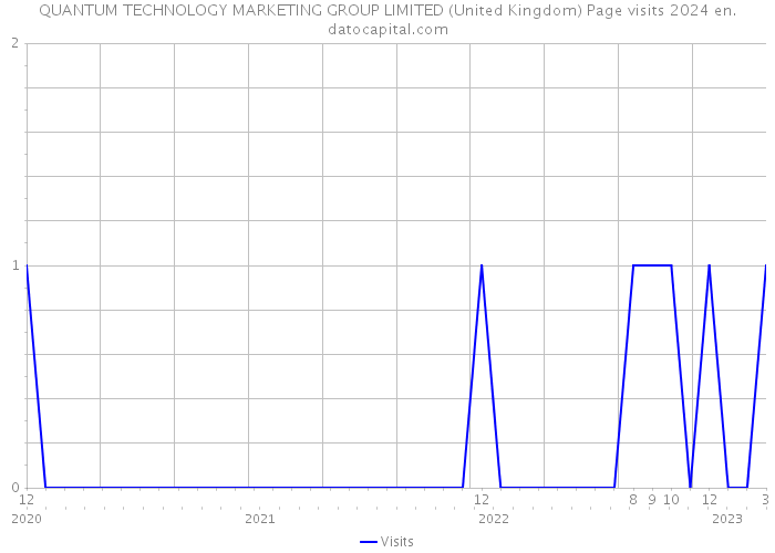 QUANTUM TECHNOLOGY MARKETING GROUP LIMITED (United Kingdom) Page visits 2024 
