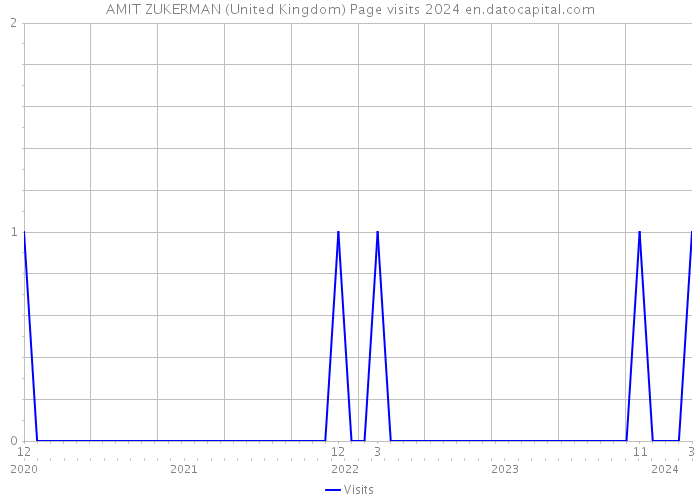 AMIT ZUKERMAN (United Kingdom) Page visits 2024 
