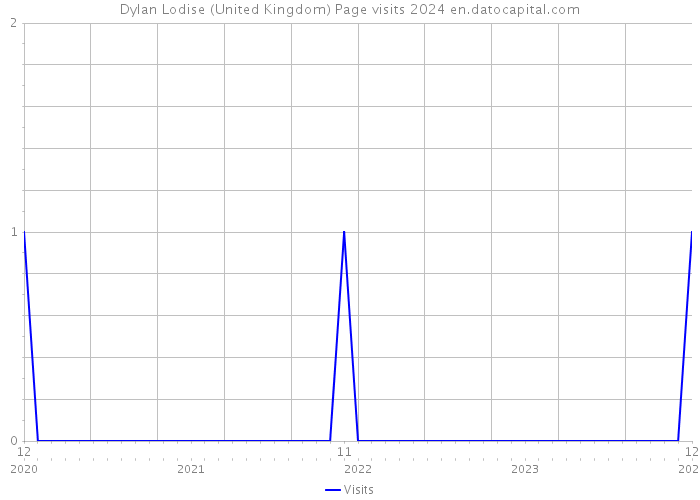 Dylan Lodise (United Kingdom) Page visits 2024 