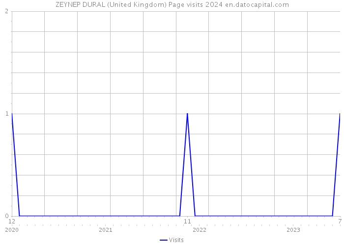 ZEYNEP DURAL (United Kingdom) Page visits 2024 