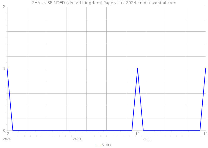 SHAUN BRINDED (United Kingdom) Page visits 2024 