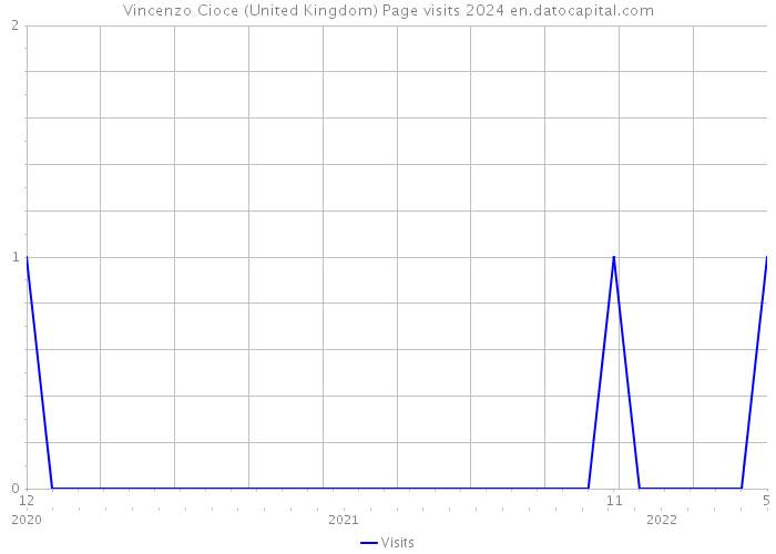 Vincenzo Cioce (United Kingdom) Page visits 2024 