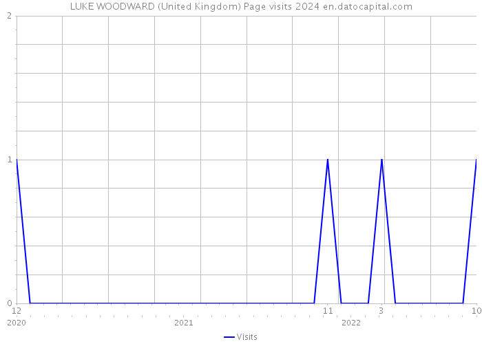 LUKE WOODWARD (United Kingdom) Page visits 2024 