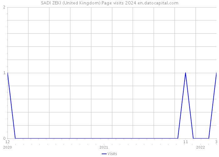SADI ZEKI (United Kingdom) Page visits 2024 