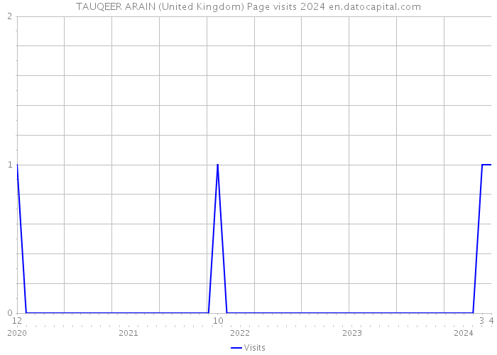 TAUQEER ARAIN (United Kingdom) Page visits 2024 