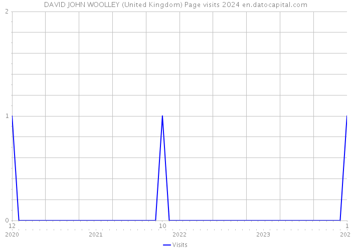DAVID JOHN WOOLLEY (United Kingdom) Page visits 2024 