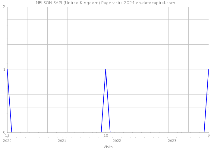 NELSON SAPI (United Kingdom) Page visits 2024 
