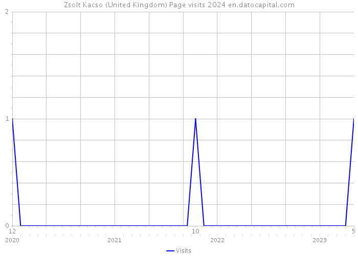 Zsolt Kacso (United Kingdom) Page visits 2024 