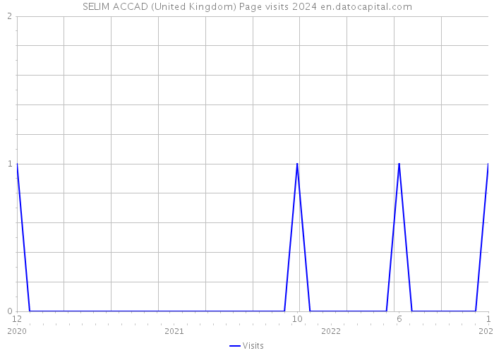 SELIM ACCAD (United Kingdom) Page visits 2024 