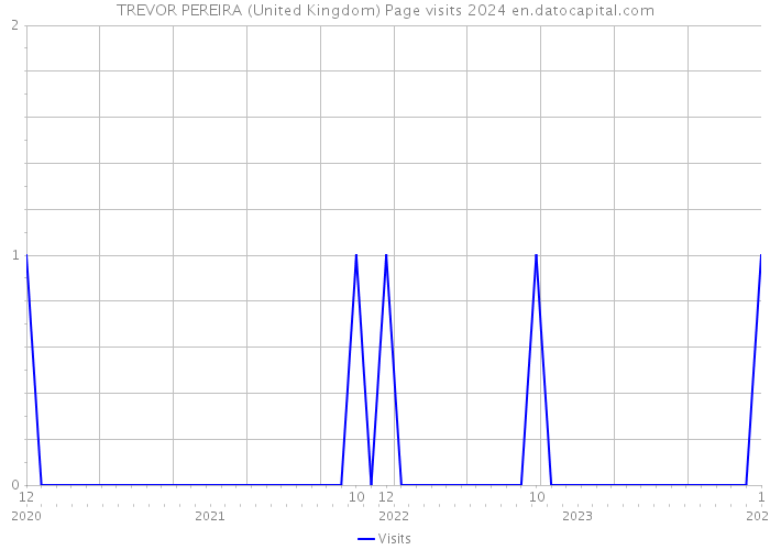 TREVOR PEREIRA (United Kingdom) Page visits 2024 