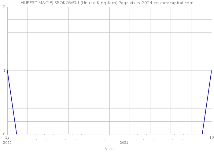 HUBERT MACIEJ SROKOWSKI (United Kingdom) Page visits 2024 