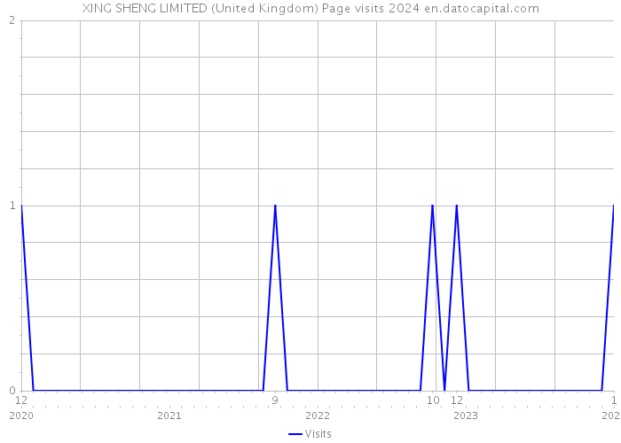 XING SHENG LIMITED (United Kingdom) Page visits 2024 